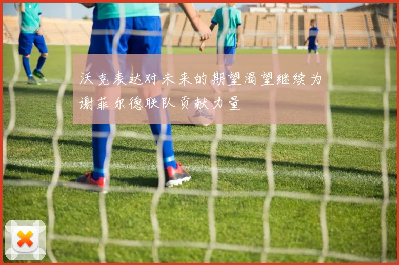 沃克表达对未来的期望渴望继续为谢菲尔德联队贡献力量